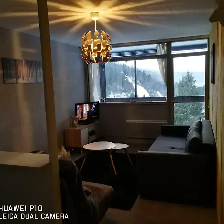 Apartment Studio 4 Personnes Hohneck *